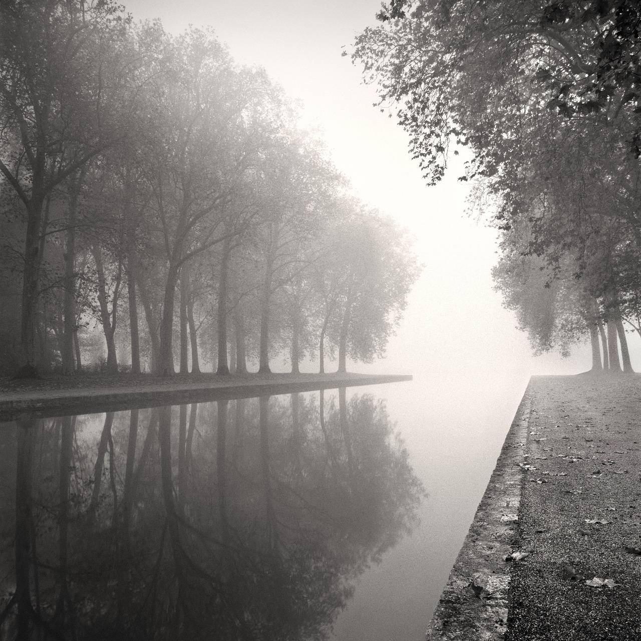 Canal Reflections, Parc De Sceaux