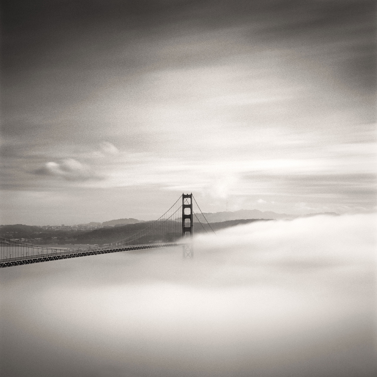 Rolling Fog, San Francisco