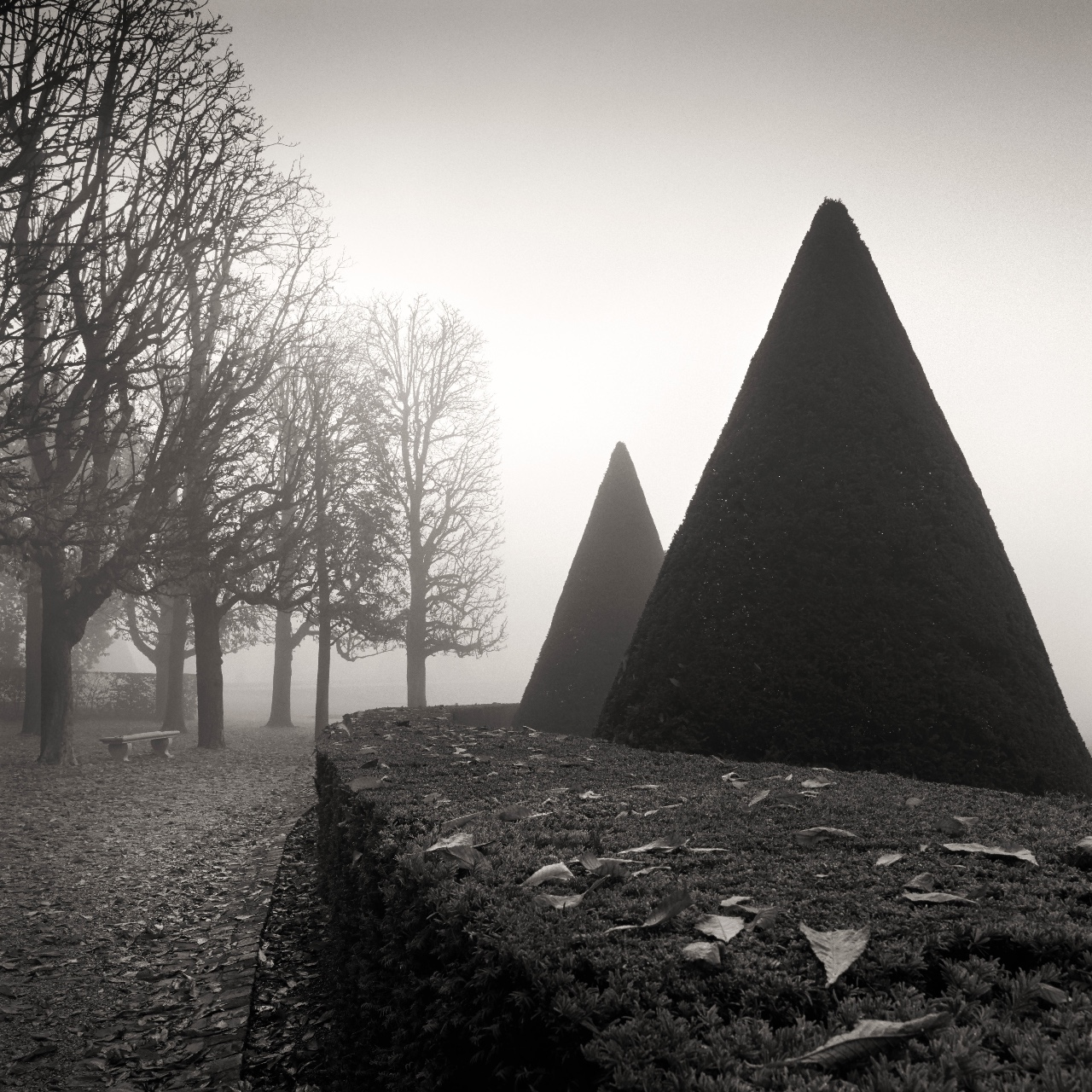 Topiaries In Fog, Sceaux