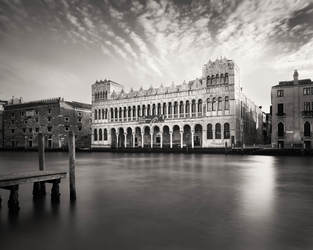 Società Veneziana di Scienze Naturali